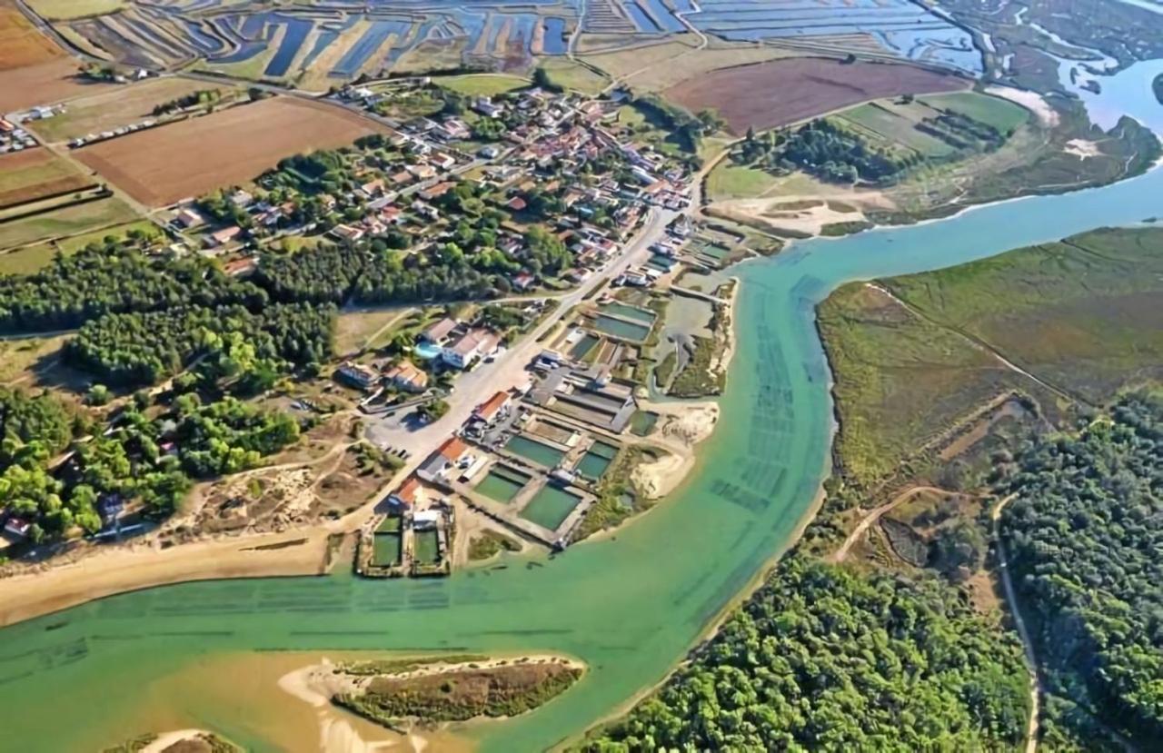 La Maisonnette Du Payre Talmont-Saint-Hilaire Bagian luar foto
